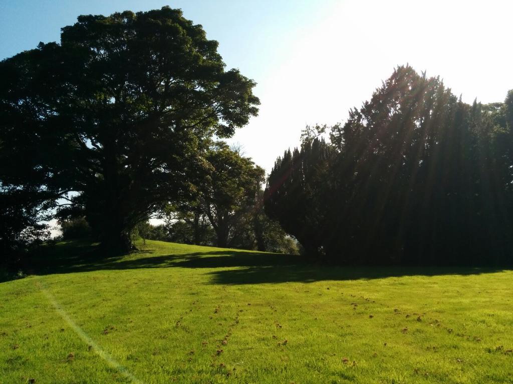 Narrow Water Castle Self Catering Accommodation Warrenpoint Εξωτερικό φωτογραφία